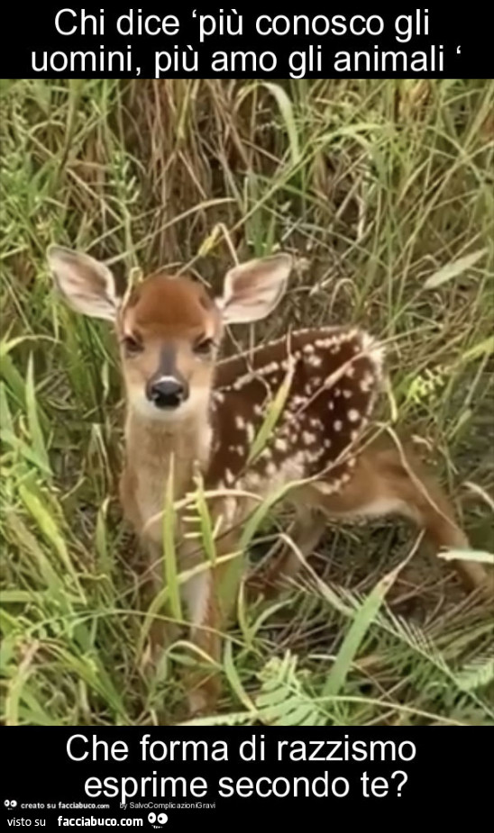 Chi dice ‘più conosco gli uomini, più amo gli animali ‘ che forma di razzismo esprime secondo te?