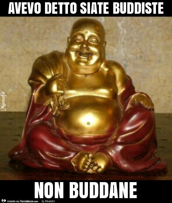 Avevo detto siate buddiste non buddane