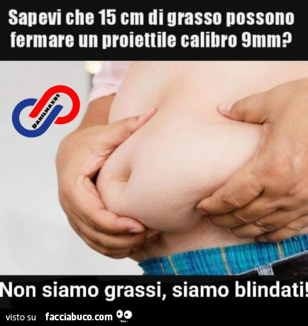 Sapevi che 15 cm di grasso possono fermare un proiettile calibro 9mm? Non siamo grassi, siamo blindati
