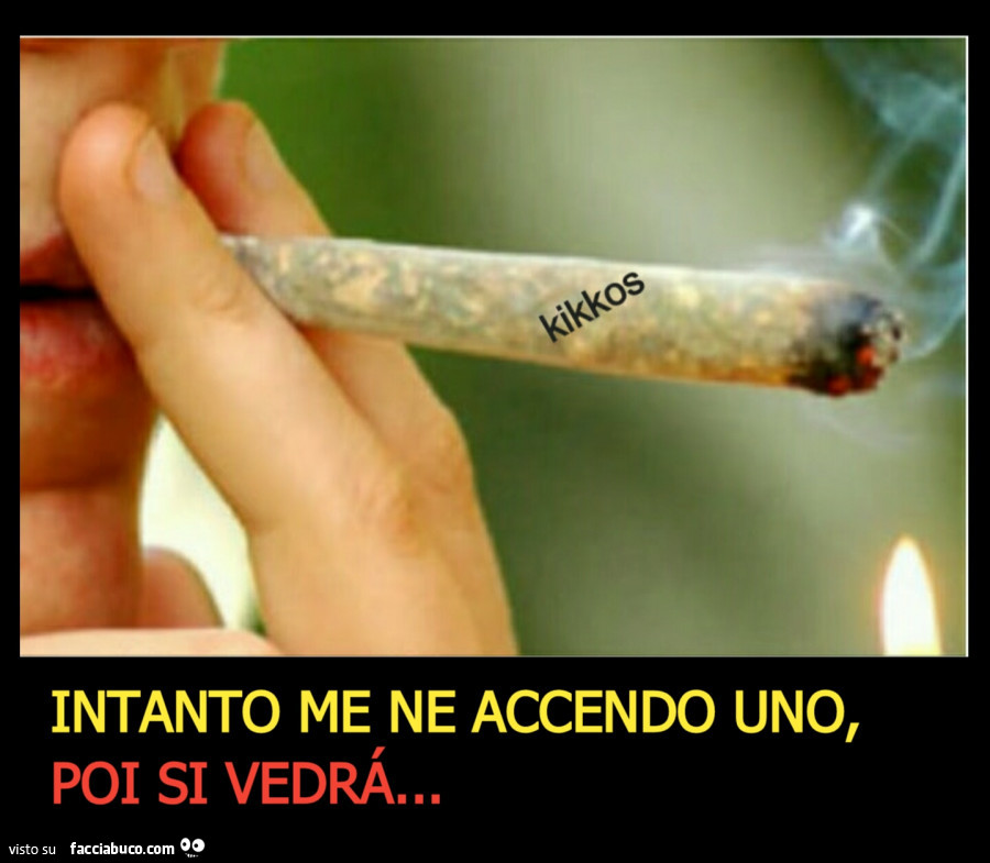 Vaccata