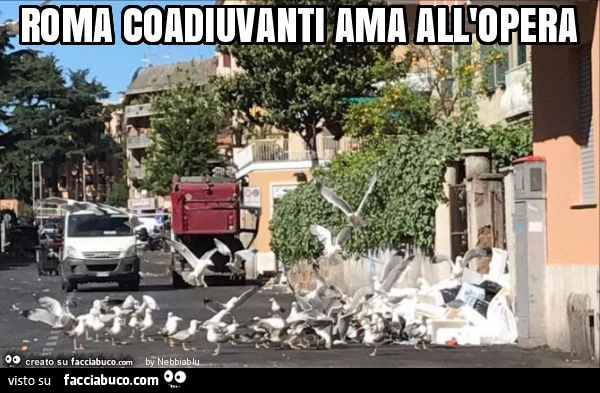Roma coadiuvanti ama all'opera