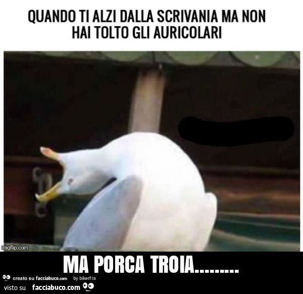 Ma porca troia