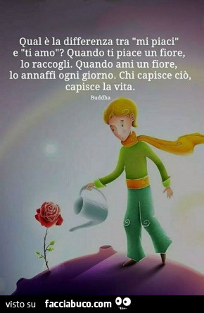 Buona Giornata Ciurma Vado A Lavorare Perla Di Saggezza Pubblicata Da Emanuelitoeldrito74 Facciabuco Com Buona Giornata Ciurma Vado A Lavorare Perla Di Saggezza Pubblicata Da Emanuelitoeldrito74 Facciabuco Com
