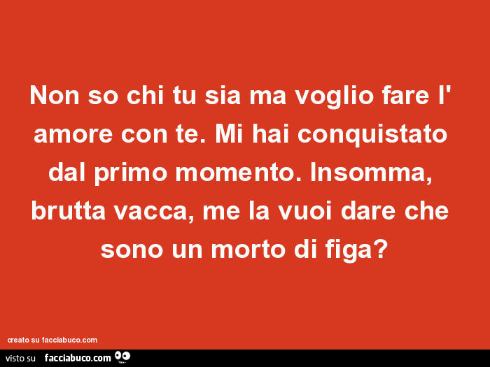 Non so chi tu sia ma voglio fare l' amore con te. Mi hai conquistato dal primo momento. Insomma, brutta vacca, me la vuoi dare che sono un morto di figa?