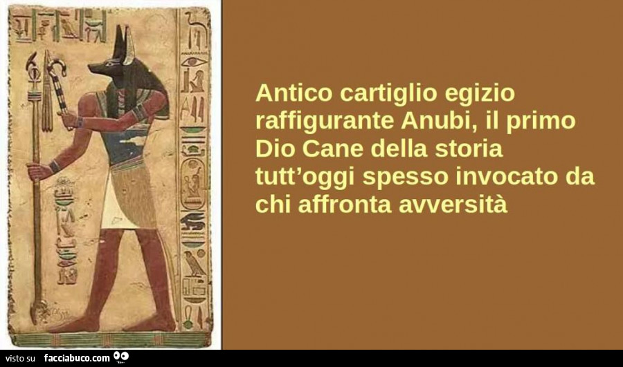 Antico cartiglio egizio raffigurante anubi, il primo dio cane della storia tutt'oggi spesso invocato da chi affronta avversità