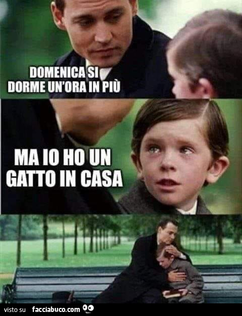 Domenica si dorme un'ora in più. Ma io ho un gatto in casa