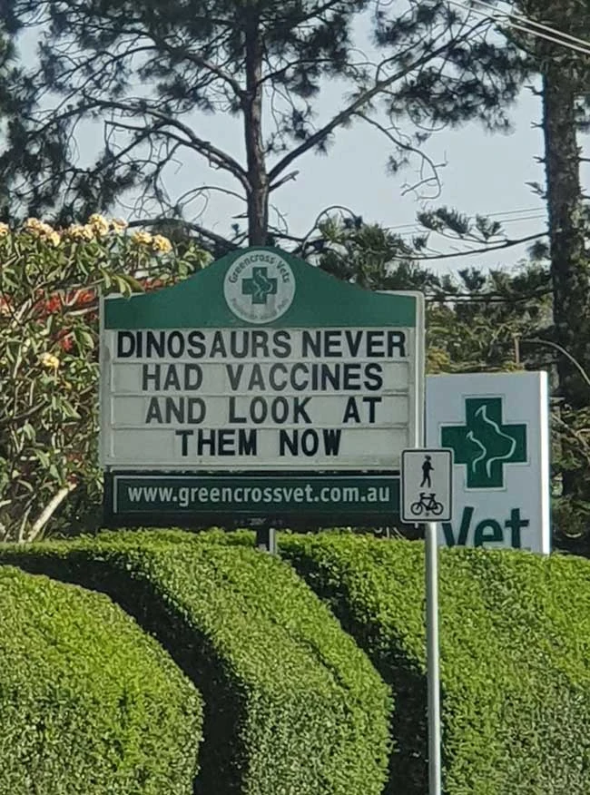 Vaccata