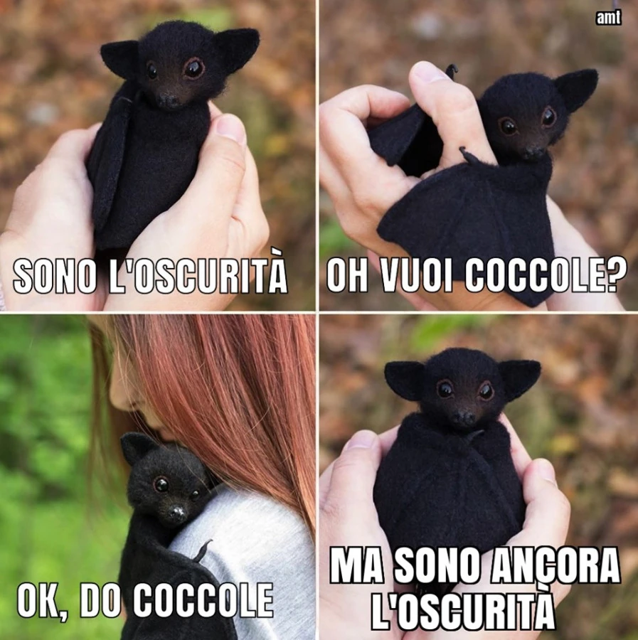 Vaccata