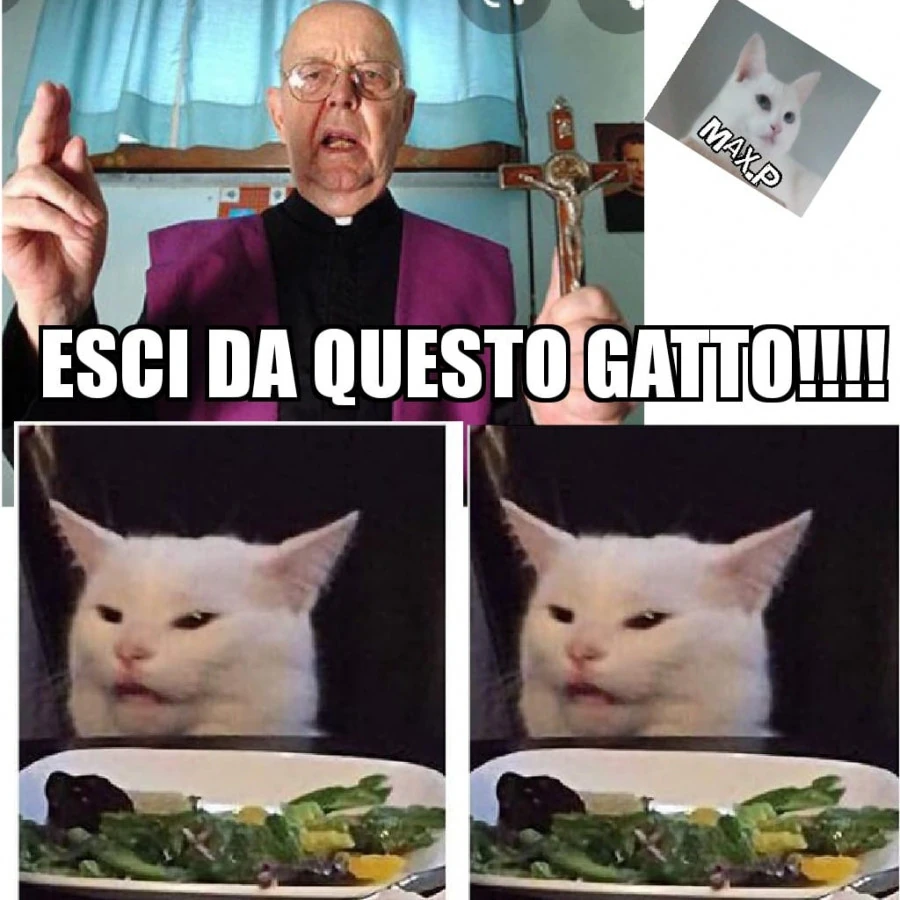 Vaccata