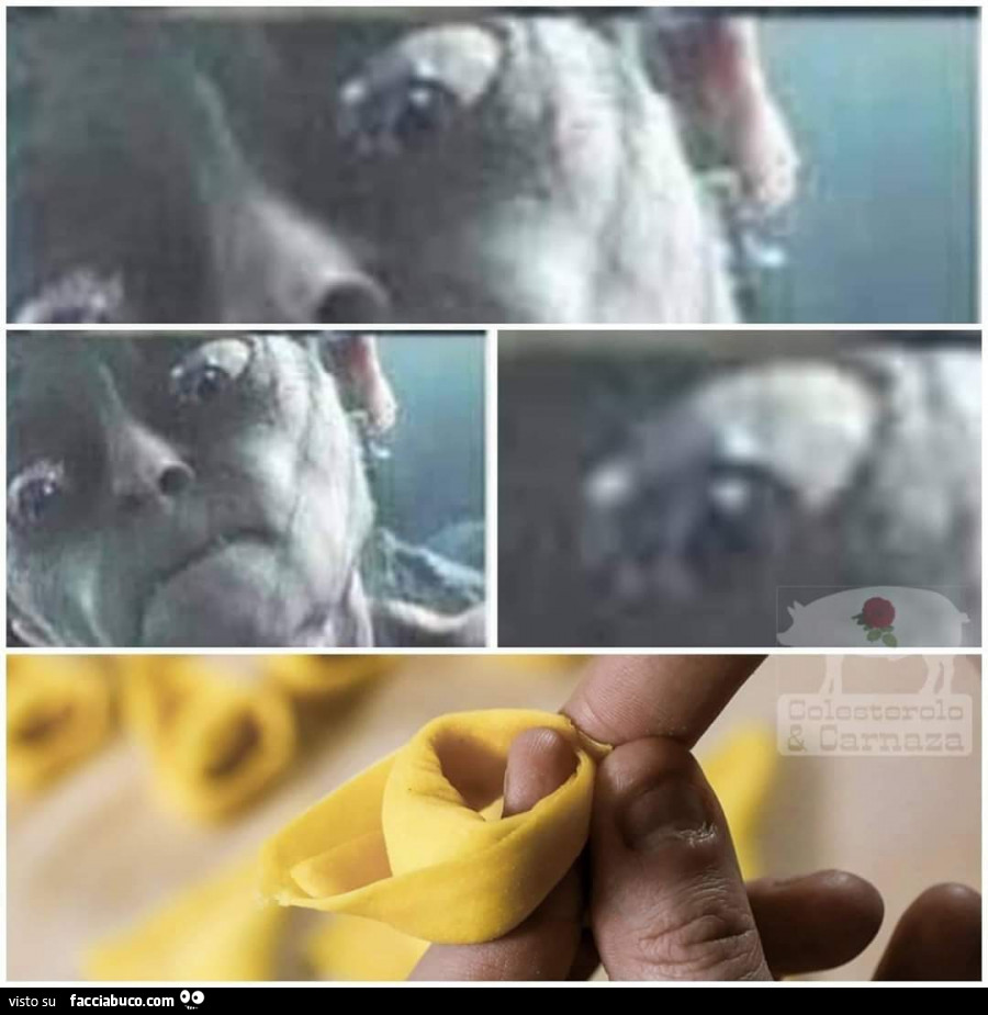 Gollum col tortellino