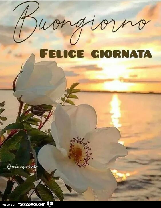 Buongiorno felice giornata