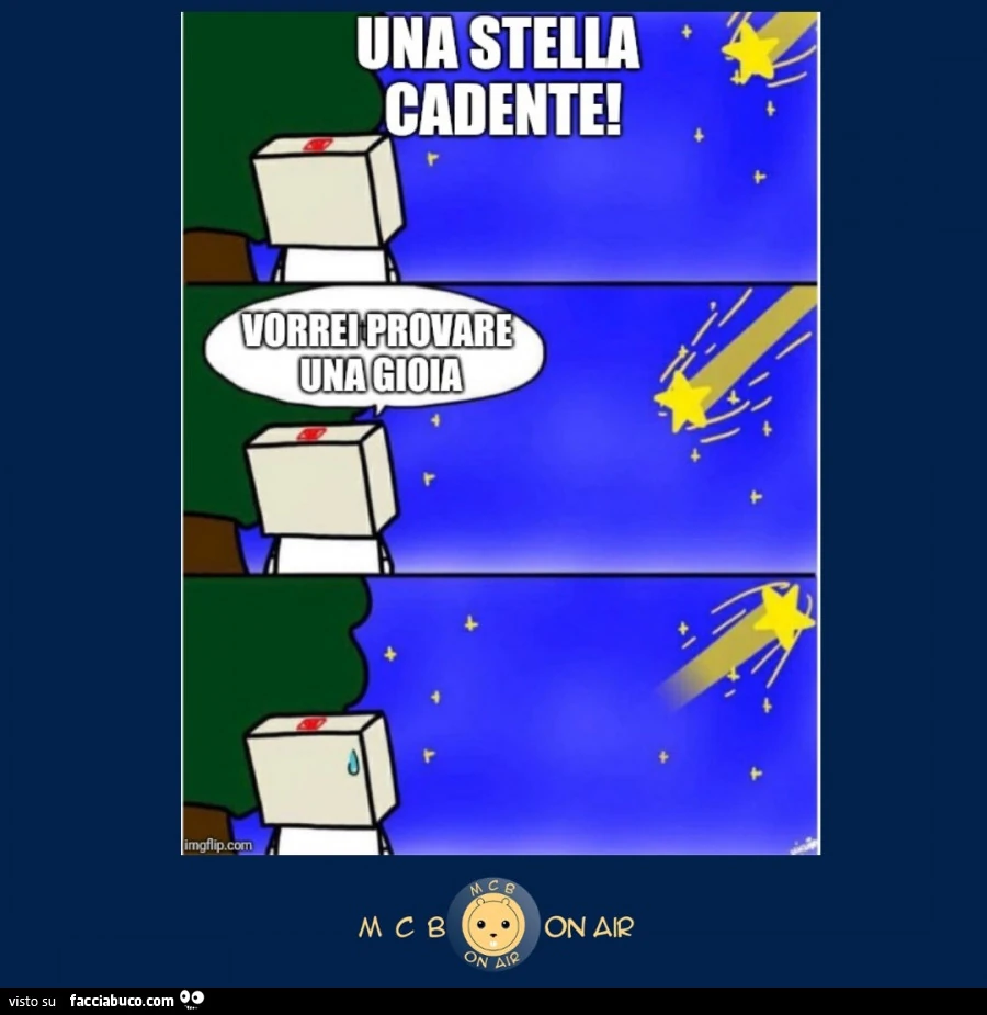Una stella cadente! Vorrei provare una gioia